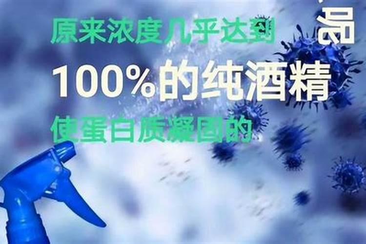 墨兰叶子卷曲怎么办,遮阴防晒追施磷肥