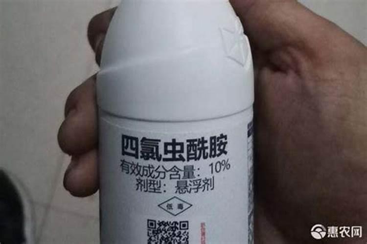 油菜硼肥的最佳使用时期和用量