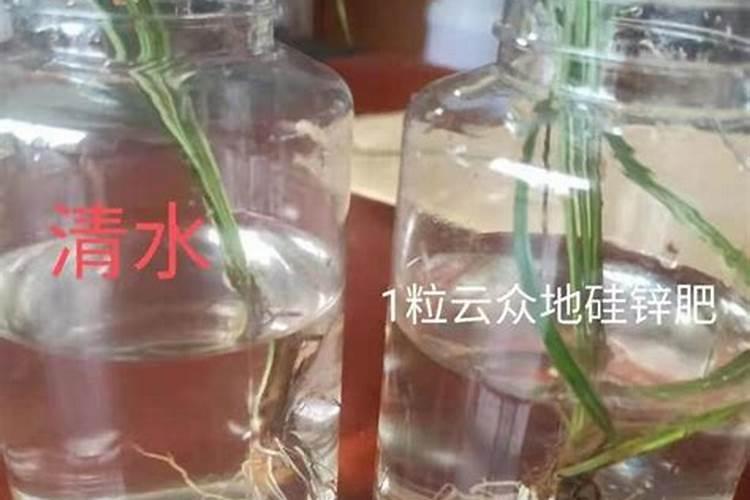 吉九硅锌肥20kg一袋多少钱了