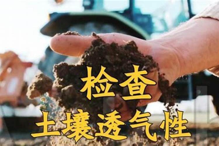 氮肥的作用有哪些
