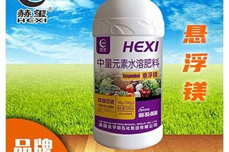 白菜施肥时间和方法