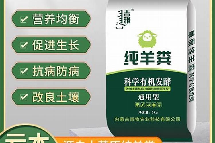 不愁销路的小型加工厂有哪些？