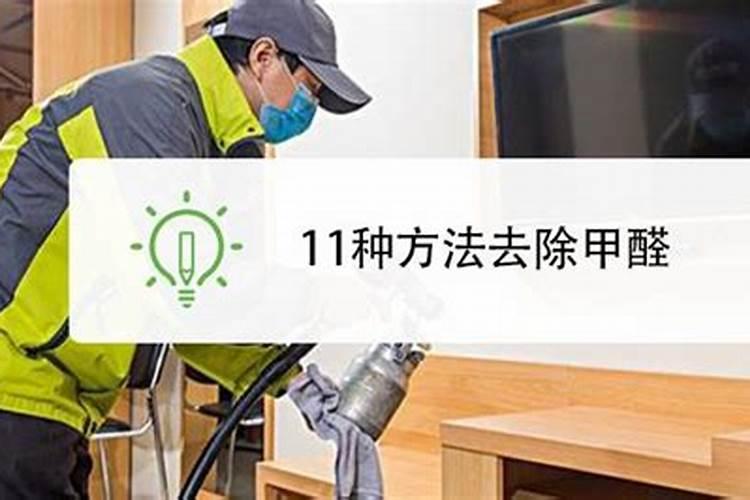 君子兰叶面肥怎么用,做到薄肥勤施原则/水溶性肥料为主