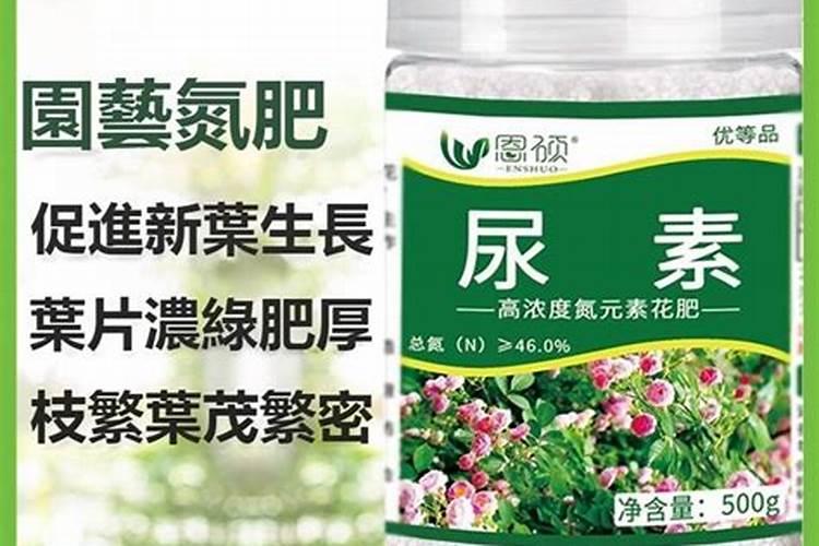 氮肥养花一克用多少水兑