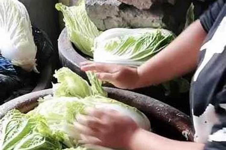腐殖酸如何使用才能发挥功效？