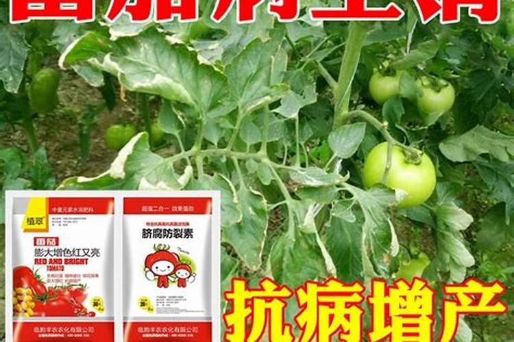 硝硫基复合肥对火龙果有什么好处？为什么呢？