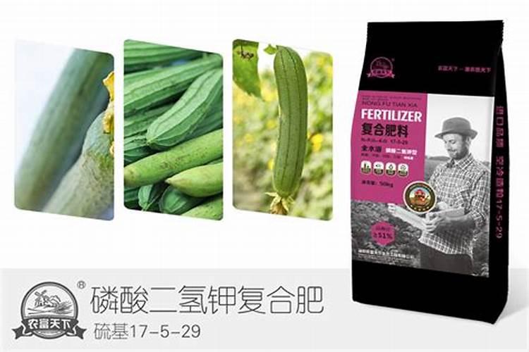 丝瓜发生化瓜现象,这最可能是哪些原因导致的？