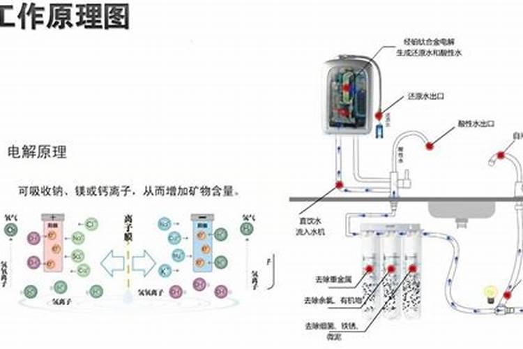果树用水溶肥好还是复合肥好(复合肥可以兑水浇果树吗)