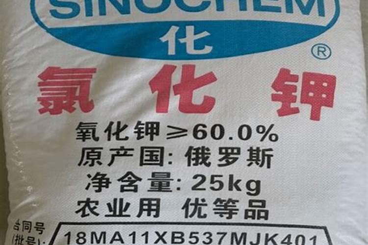 钾肥为何这么贵啊