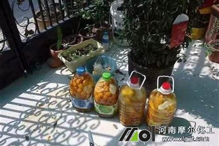 红糖加醋做叶面肥红糖加醋当叶面肥的好处