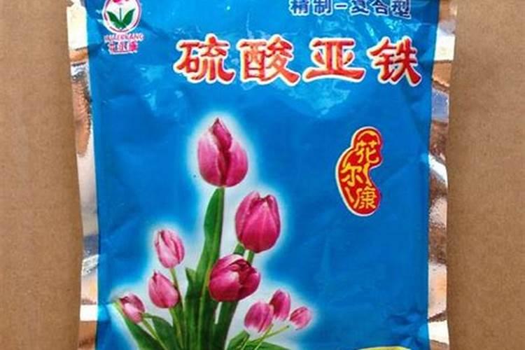 硫酸亚铁花肥适合什么花、养花不施肥行吗