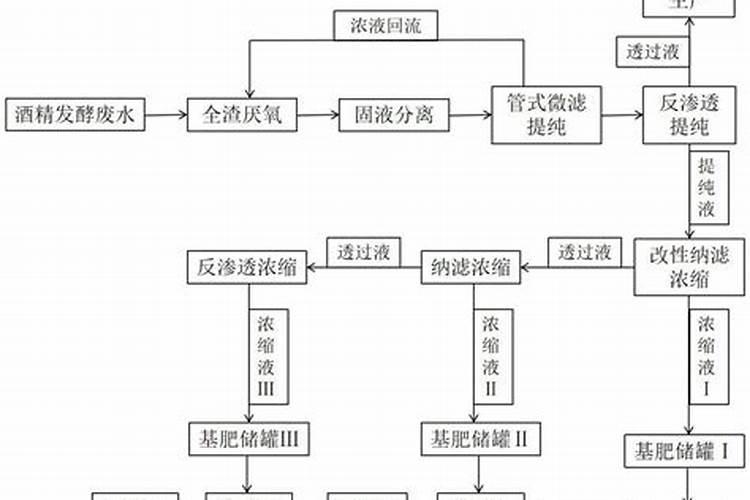 怎样识别水溶的真假？