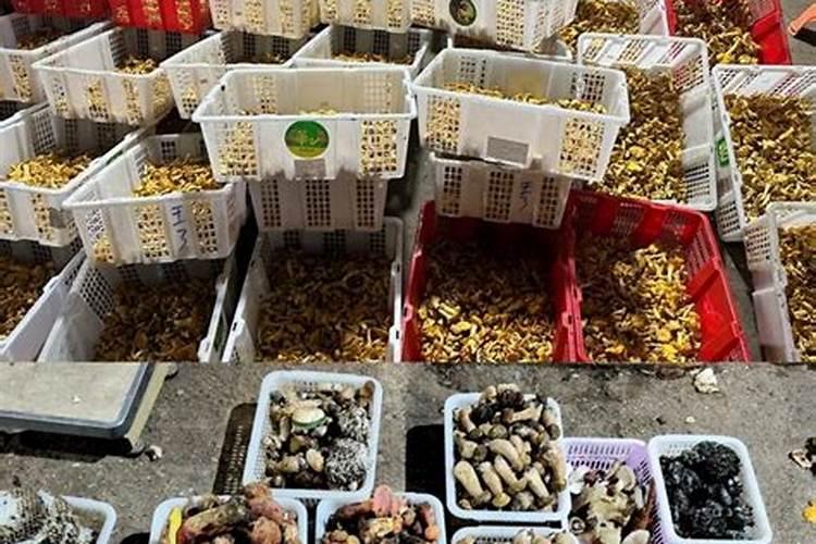 用种植菌类后的残渣如何制造生物有机肥配方