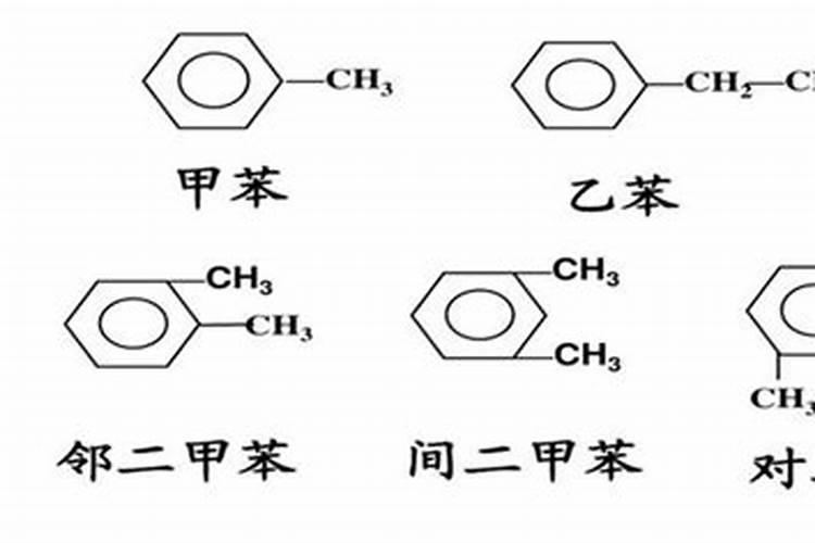 什么绿植防御辐射最好？