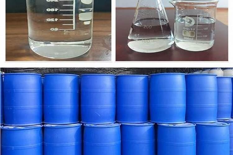 金边吊兰可以水养吗(水培金边吊兰养护要点)