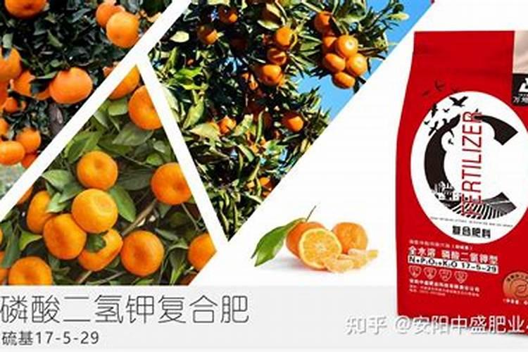 柑橘冬肥用什么肥料好