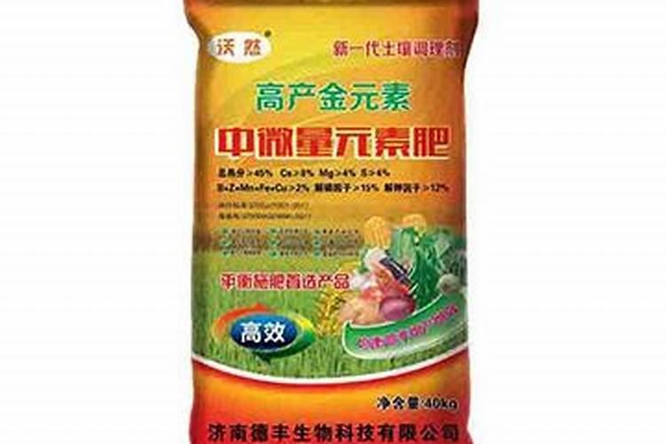 济南有什么特产可以带回家？
