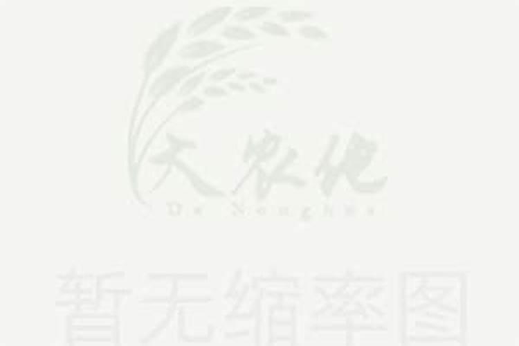 梅花上什么肥料好