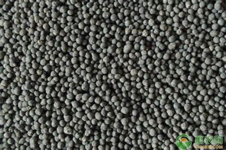 种芝麻用什么肥料