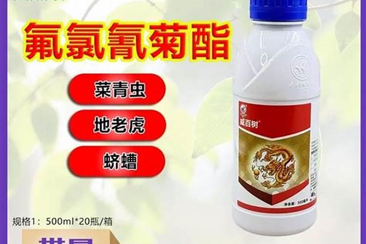柑橘开花期喷什么药