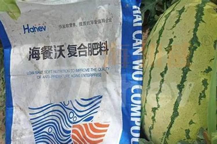 天脊16620硝酸钾水溶肥的批发价格是多少？