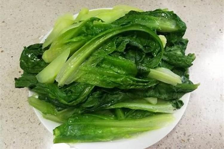 花叶子发黄缺什么肥料