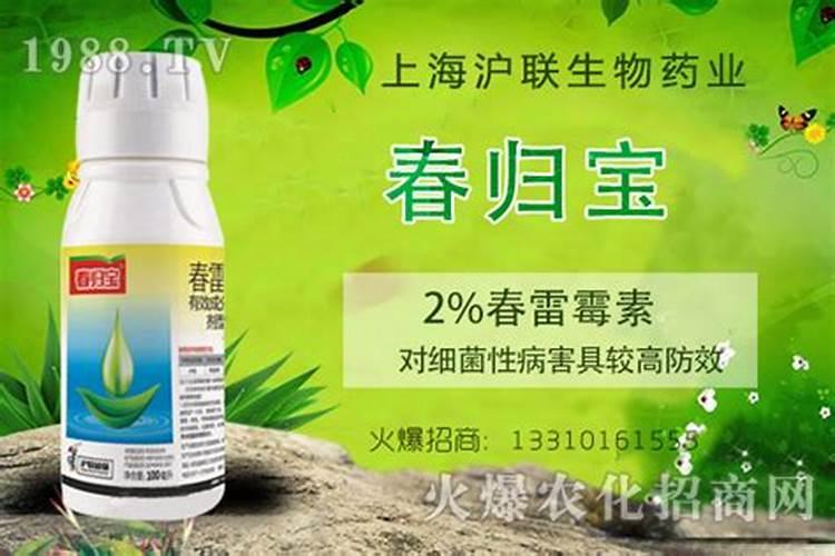 茄子枯萎病特效药