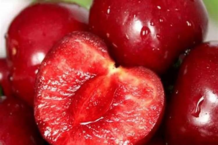 葡萄生长中后期,对肥料的使用都有哪些讲究？