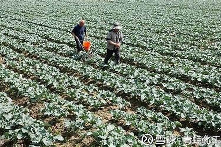 磷肥旺季在几月份