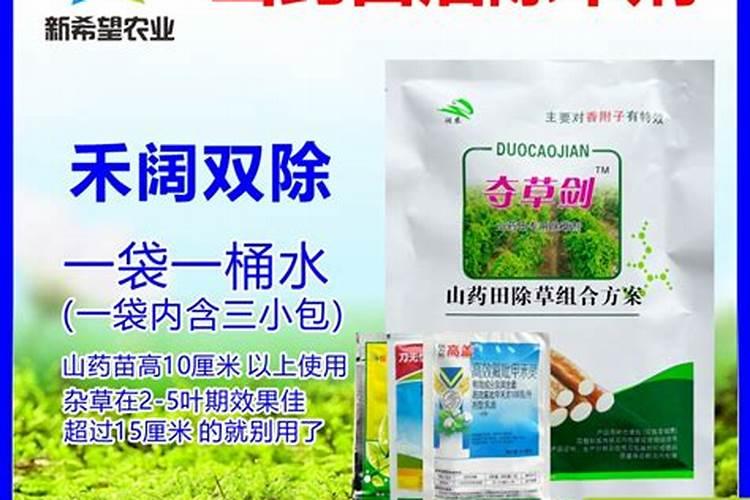 麻山药豆苗六月份怎么管理？