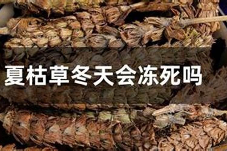 硼肥高温下会不会失效？