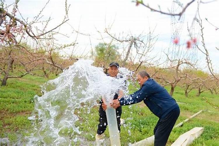 艾迪森复合肥怎么样