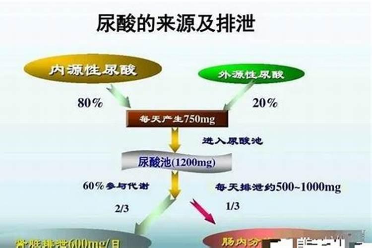 硝酸磷肥和尿素哪个好
