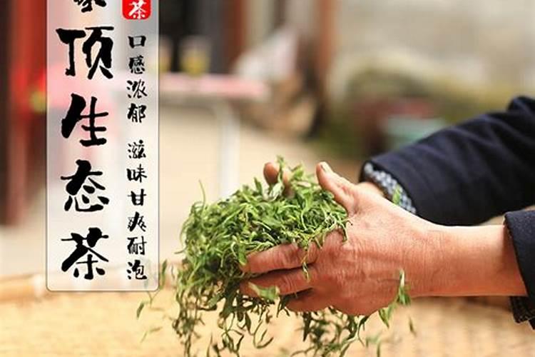 茶叶施磷肥选什么肥