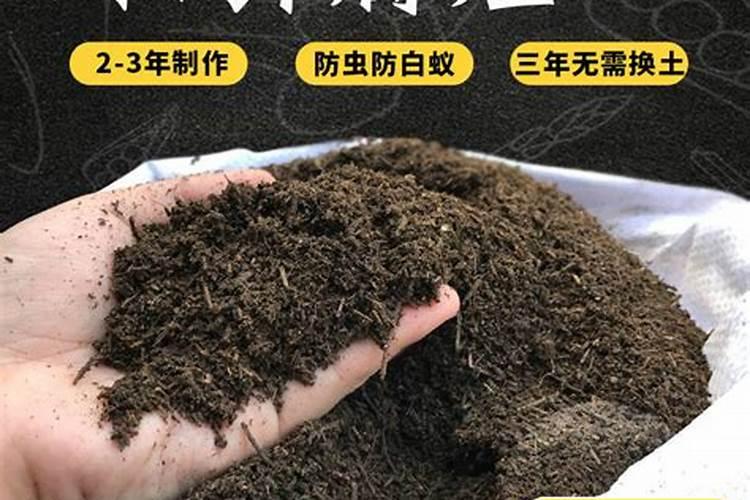 松针拌营养土种朱顶红可以吗好吗花卉百科