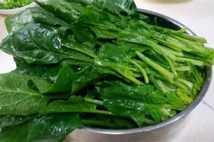 菠菜应该怎么养殖 菠菜的需肥特性