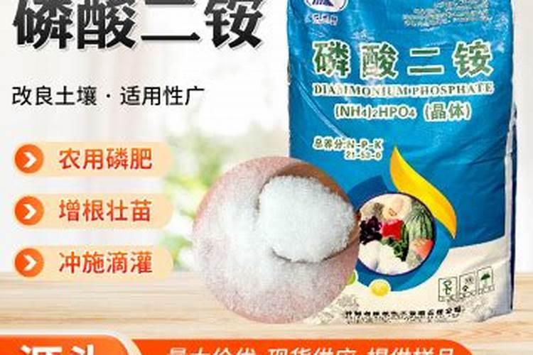 桔子树如何施肥
