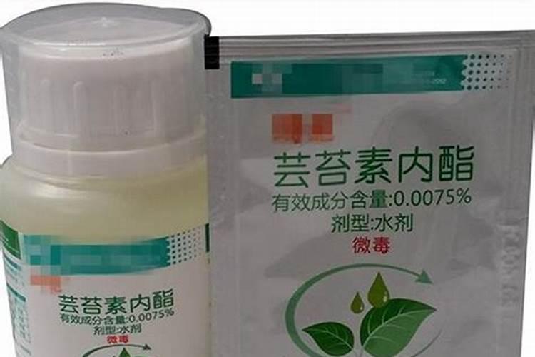 芸苔素能膨大葡萄吗？使用后会有怎样的变化？