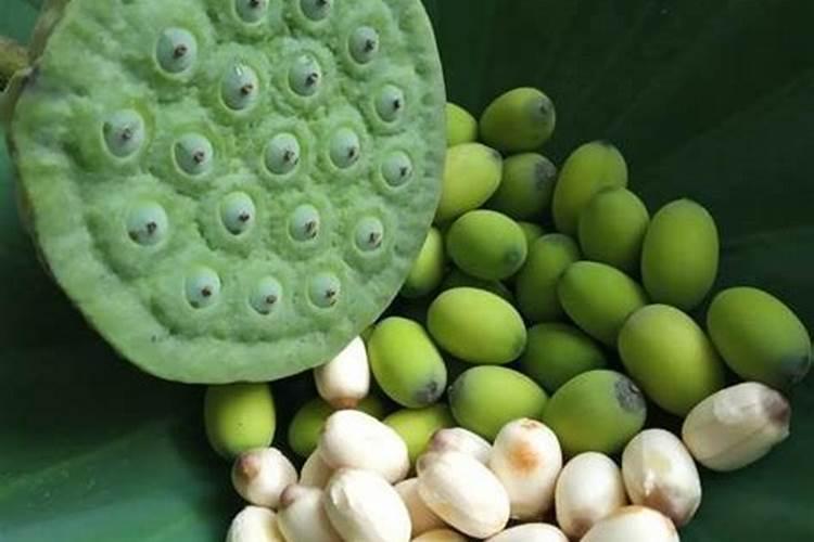 种植莲子需要用硫酸钾型复合肥还是用氯化钾型复合肥？