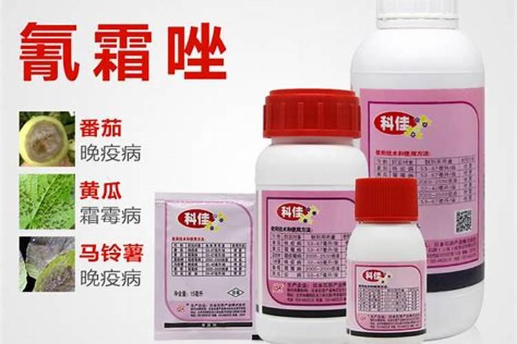 ...有些叶子的叶茎踏缩腐烂,叶片呈烫伤状,请问这是西瓜疫病还是...