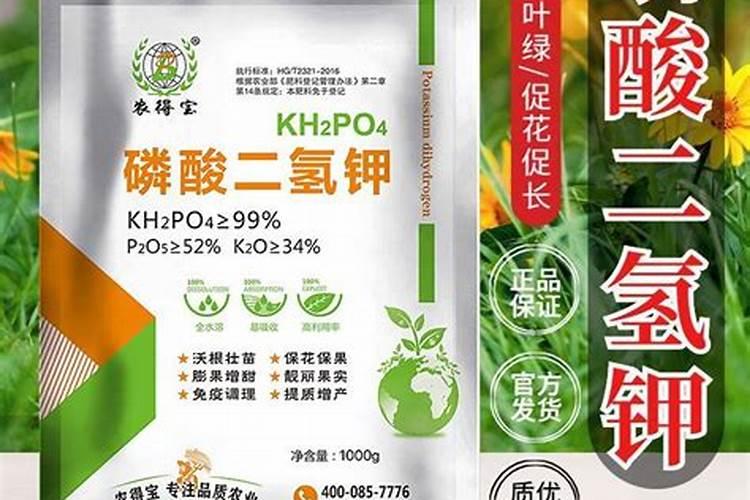 磷肥适合哪些蔬菜
