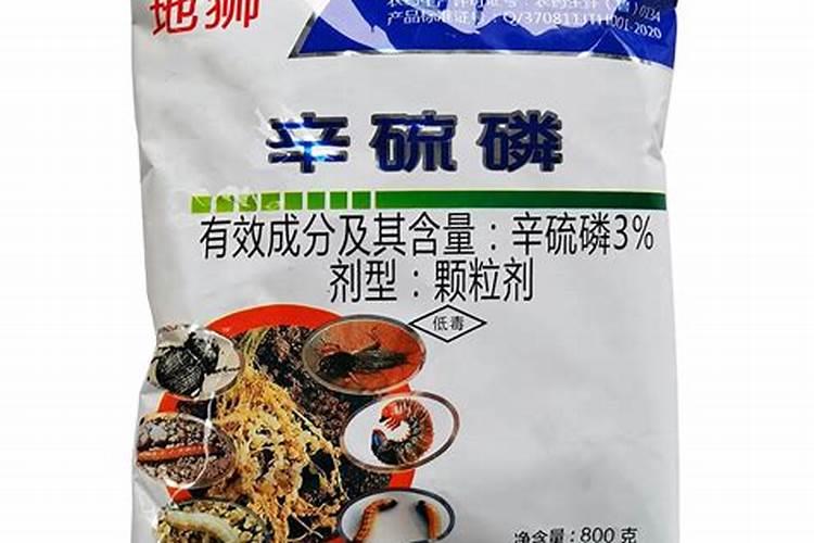 白菜根有白色蛆虫怎么办,是什么原因导致的