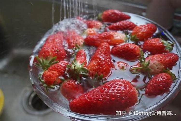 种草莓要下什么肥料