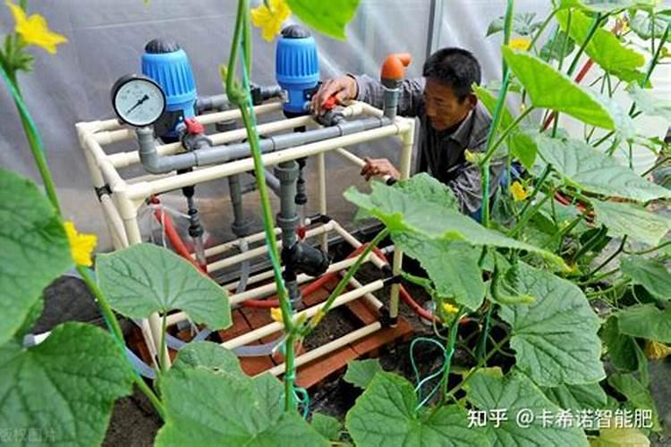 水溶肥做叶面肥用量多少