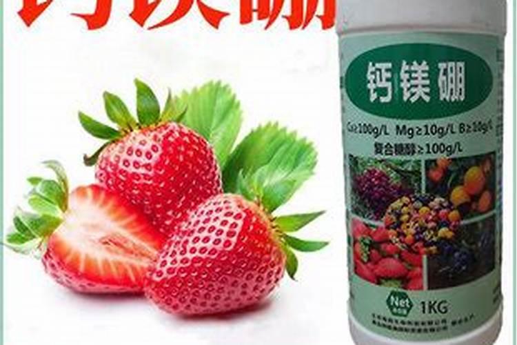 哪种叶面用的钙肥吸收好