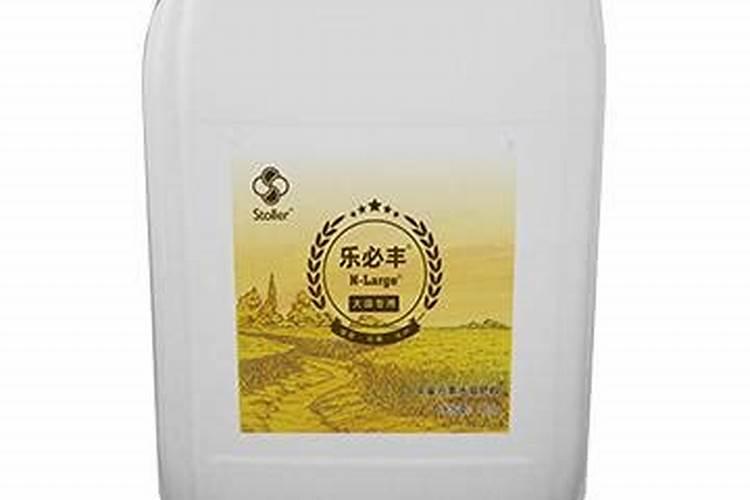 冰山月季花的开放时间是多少？