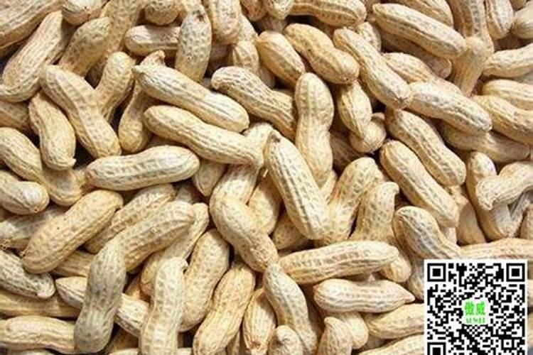 种花生磷肥需要多还是钾肥多