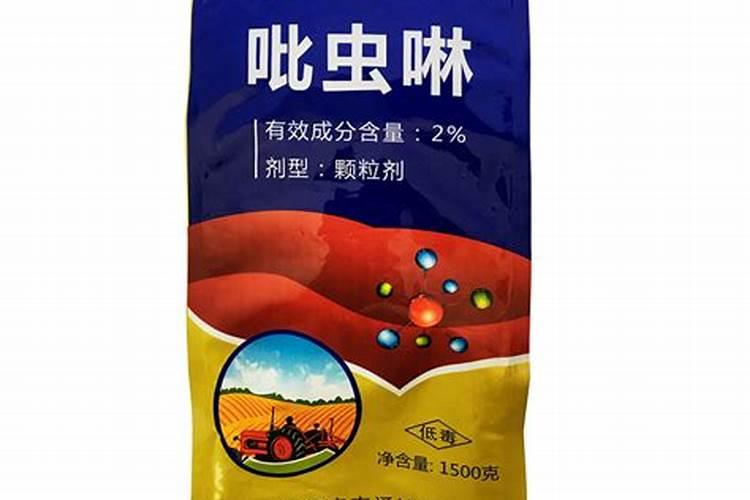 紫乐多肉植物怎么施肥