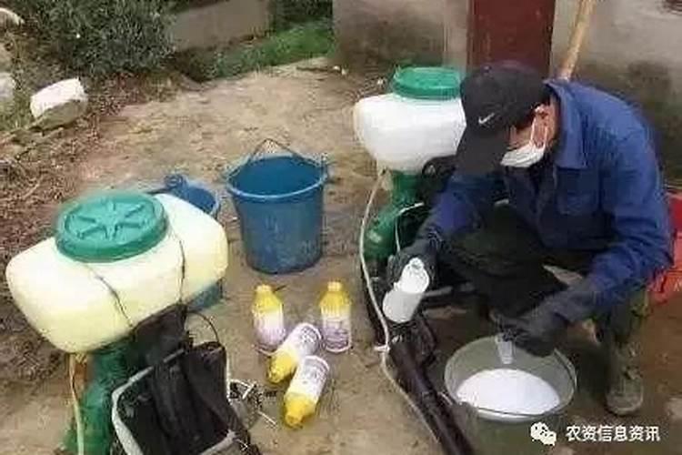 代森锰锌与叶面钙肥能混合吗？