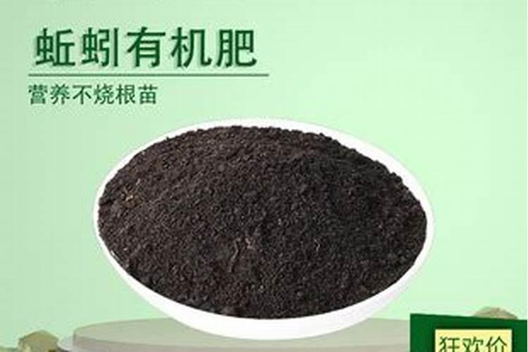 脐橙施肥能用蚯蚓粪吗？